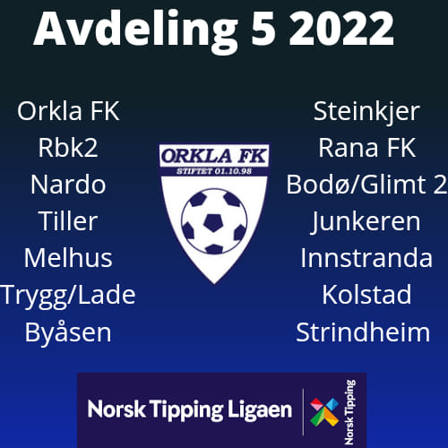 Avdeling 3 divisjon 2022