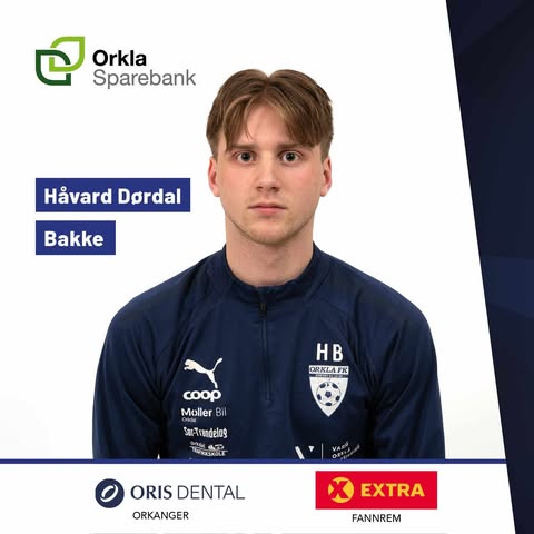 Havard DB 2025