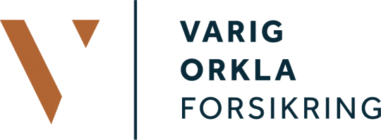 Varig logo orkla 4f 02